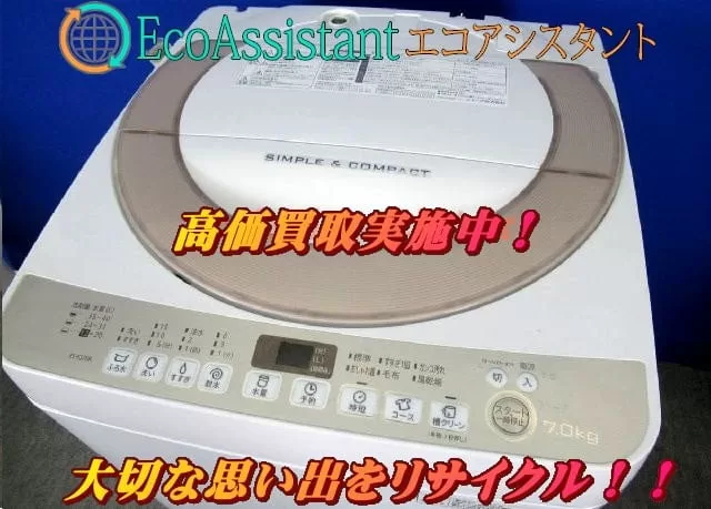 Thumbnail of post image 117