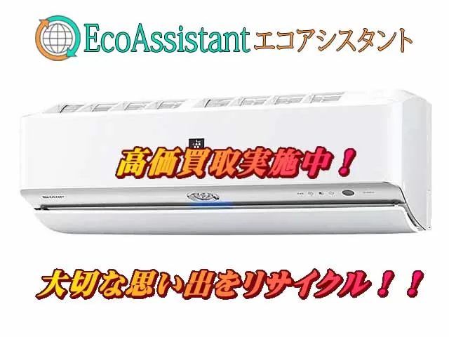 Thumbnail of post image 103